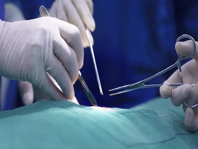 Rumah Sakit Tulang Terbaik di Indonesia dengan Pelayanan Profesional